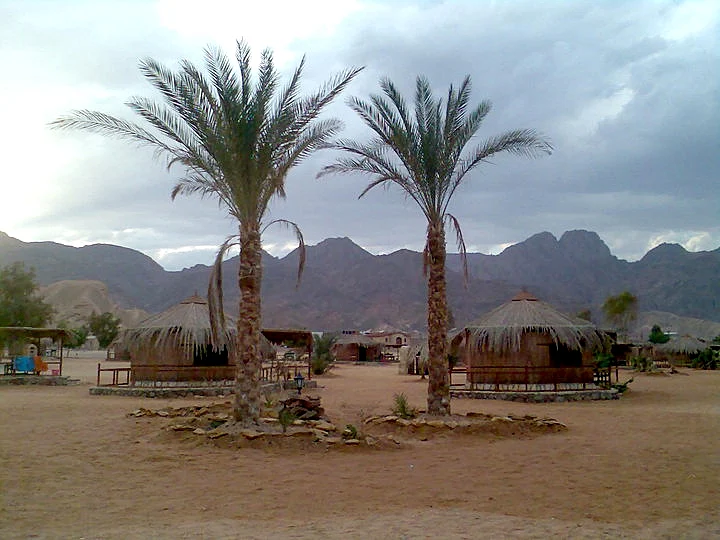 חוף Castle Beach בסיני (אילוסטרציה)