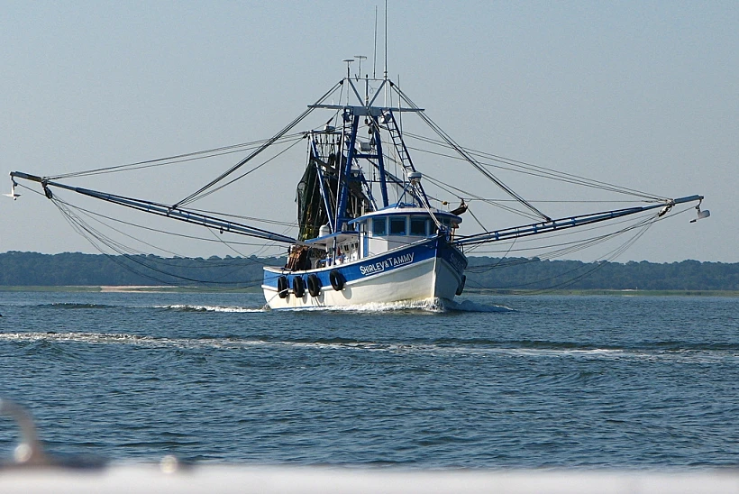 תמונה של ספינת דיגת תמונה בגודל מותאם אישית