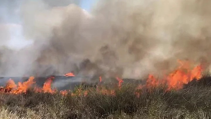 שריפה מבלוני תבערה בעוטף עזה