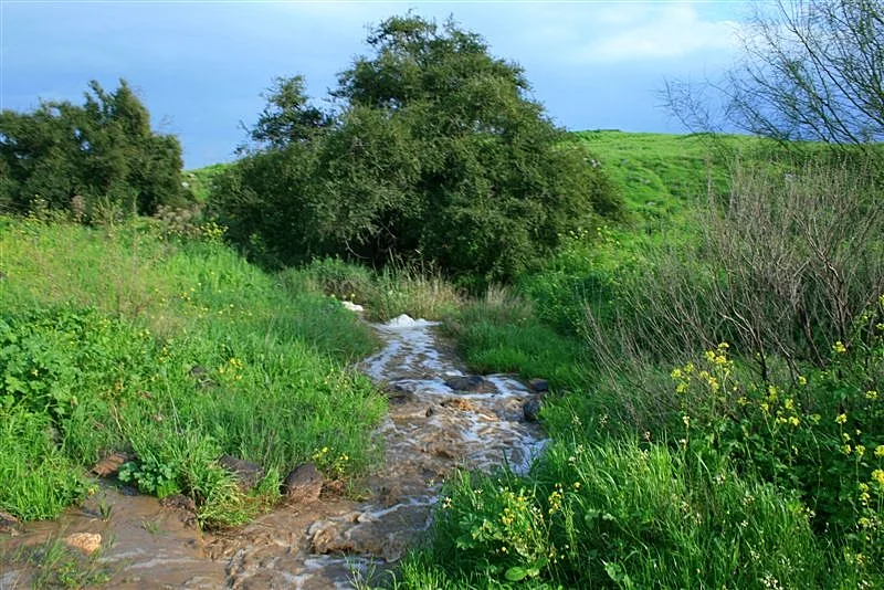 פסח 2012: מעיינות