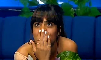 נופר מור, האח הגדול