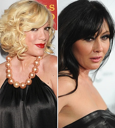 שאנון דוהרטי/טורי ספלינג