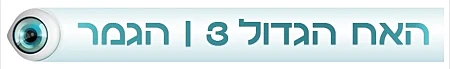 גמר האח הגדול 3 - סטריפ