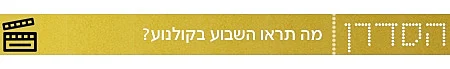 הסדרן 2011
