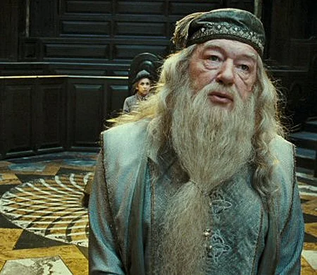 הארי פוטר ומסדר עוף החול