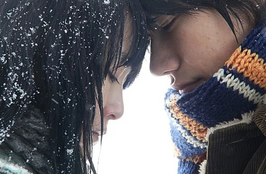 יער נורווגי