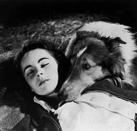 השחקנית ההוליוודית שהלכה לעולמה, אליזבת