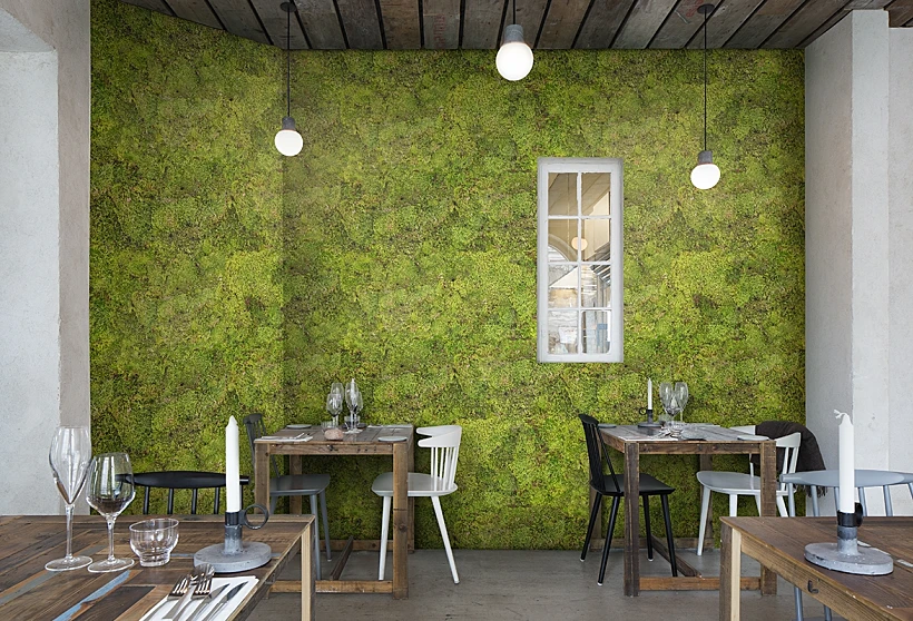 כריסטינה אגילרה