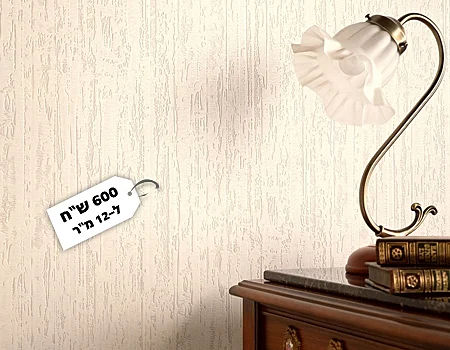 טיח שליכט דקורטיבי