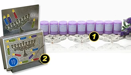 חנוכיות מיוחדות 2010