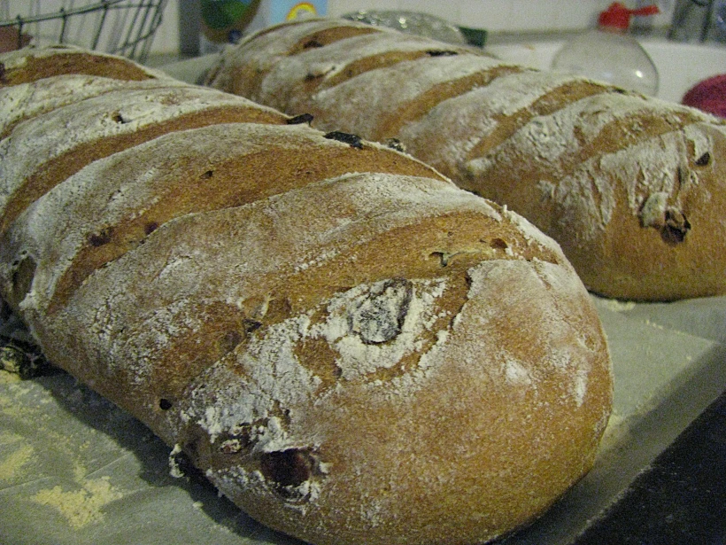 לחם מקמח מלא עם חמוציות וגרעיני דלעת