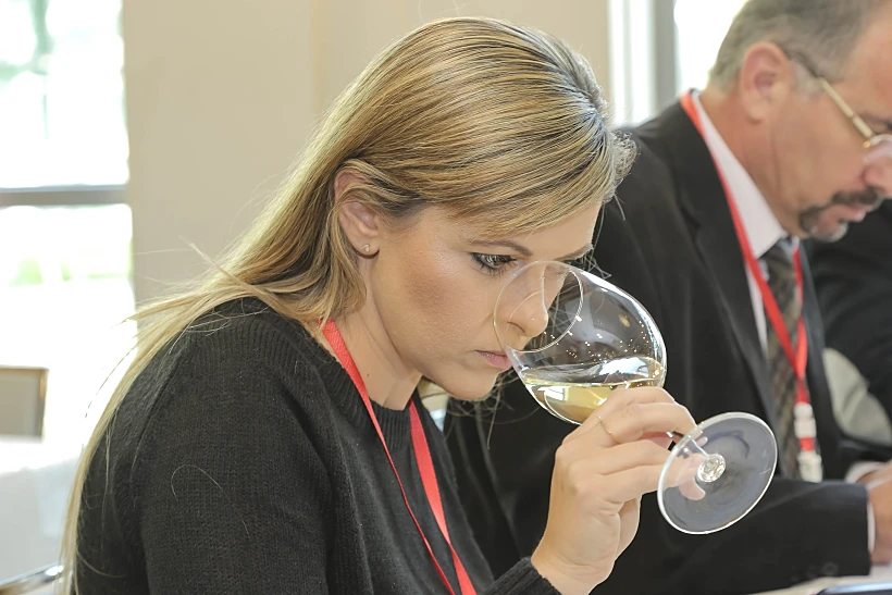 טרה וינו 2016