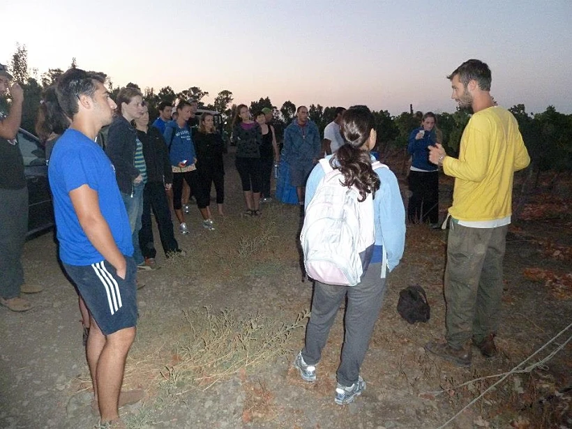 אורן (בצהוב) מעביר תדריך אחרון ומתחילים לבצור - בציר עבודה עברית