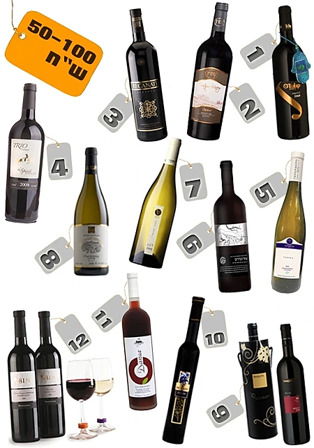 אלכוהול לפסח 50-100 ש