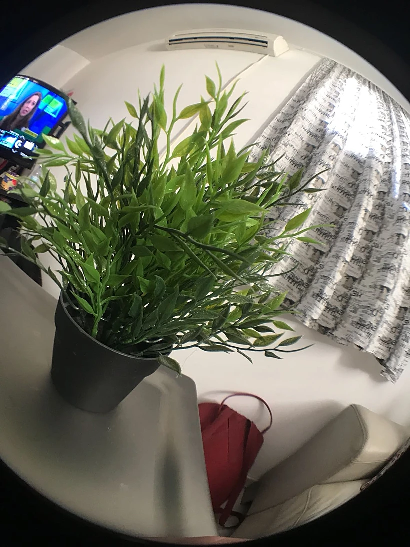 צולם בעדשת ה-FishEye