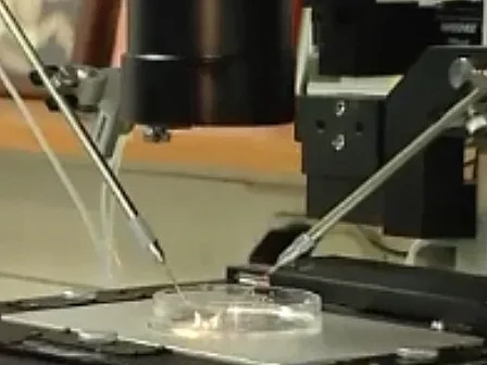 טיפולי פוריות