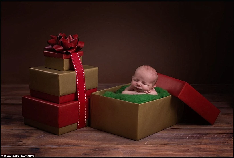 קתדרלת נוטרדאם