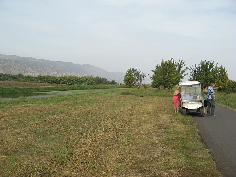 אגמון החולה