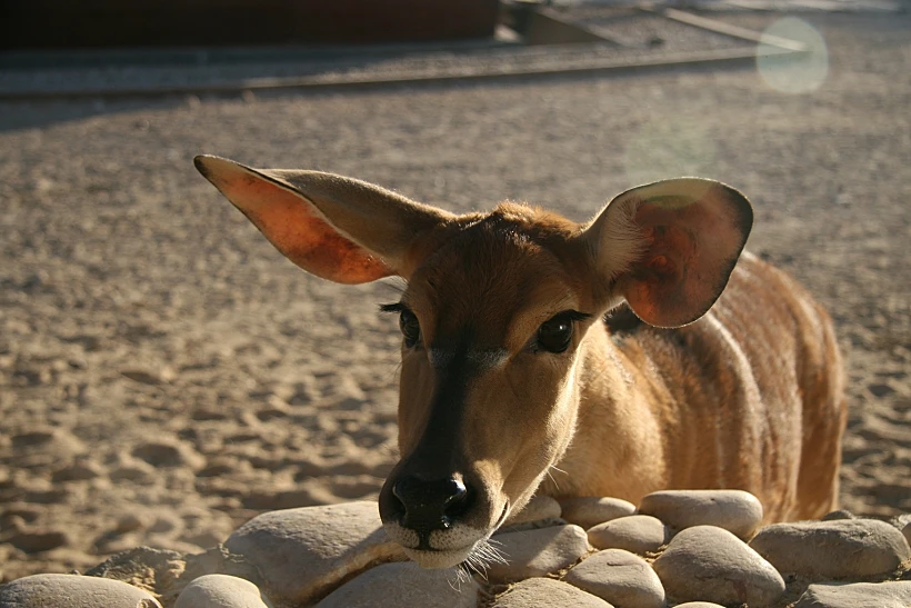 טיולים עם לינה