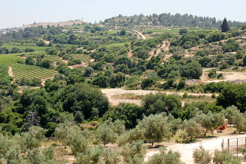 יקב צובה - קיבוץ צובה