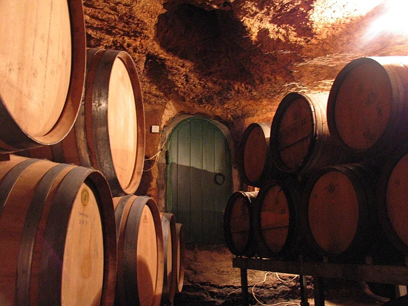 פסח 2012: מרכז המבקרים נחלת בנימין-יקב פסגות