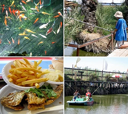 פארק הדייג מעיין צבי