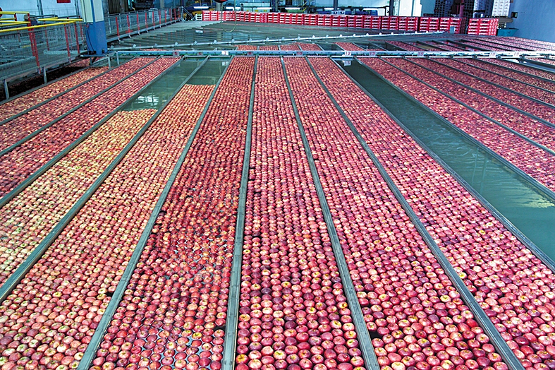 מרכז מבקרים