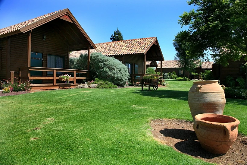 מצפה לשלום - כפר חרוב