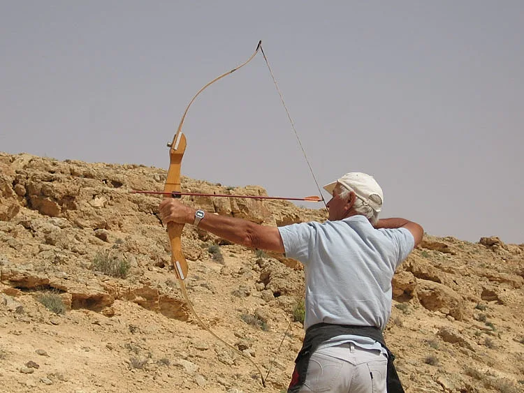 חץ וקשת מדברי