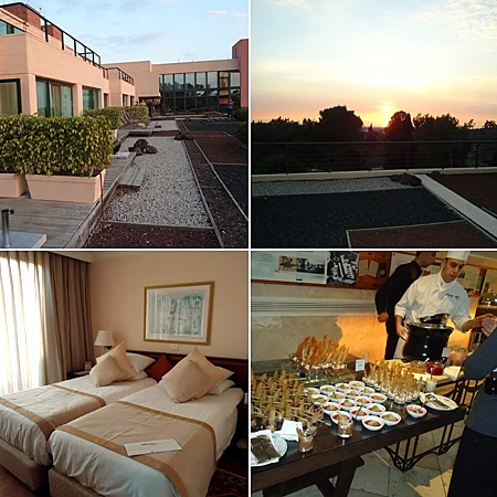 פתיחה מחודשת לאחר השריפה הגדולה בכרמל