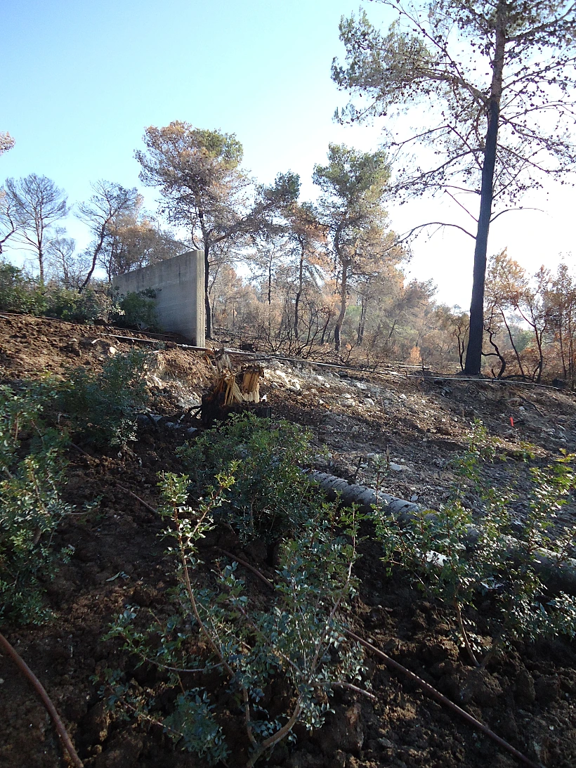 בכניסה למלון יערות הכרמל. כחודשיים לאחר השריפה הגדולה בכרמל