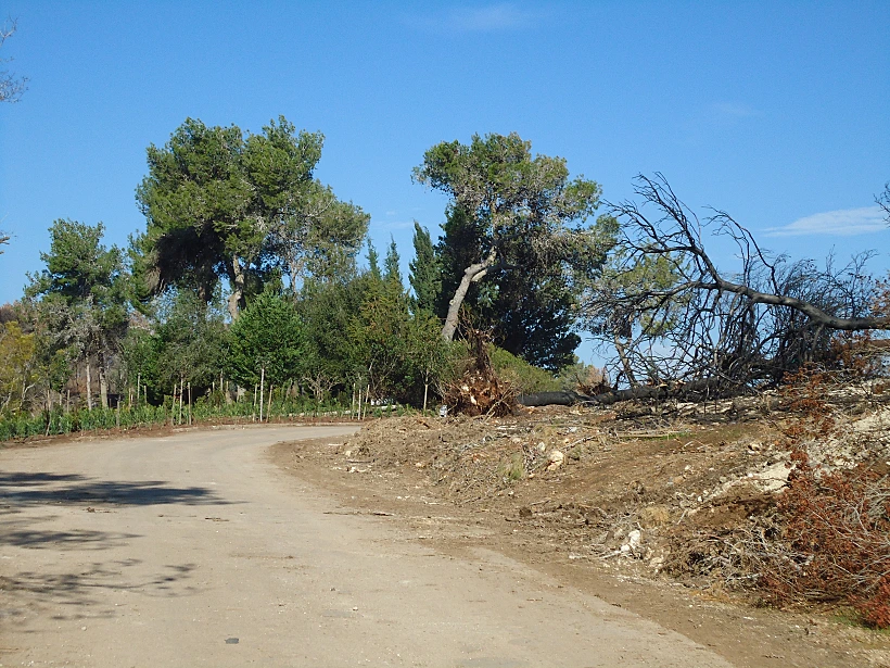בכניסה למלון יערות הכרמל. כחודשיים לאחר השריפה הגדולה בכרמל