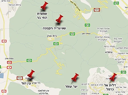 עבור כתבה ללייף סטייל