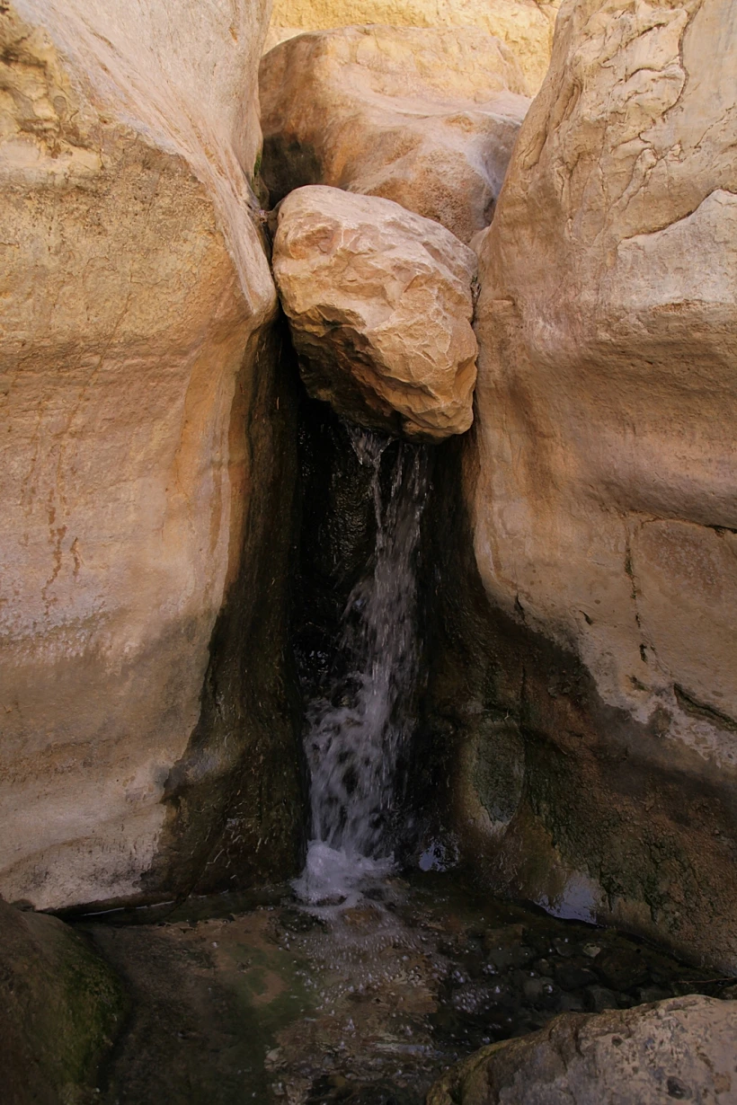 בשמורת הטבע