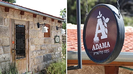 בזכרון יעקב