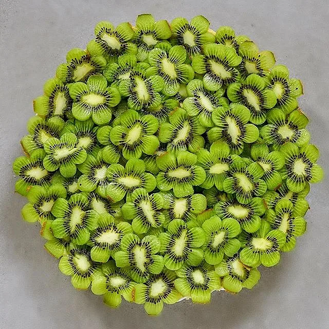 קיווי לחיזוק מערכת החיסון