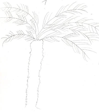 גרפולוגיה - עץ 1