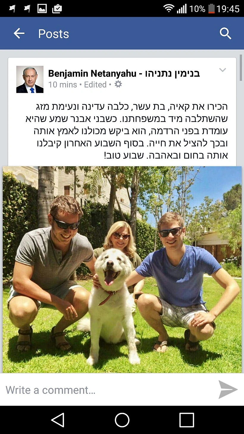 ביבי נתניהו