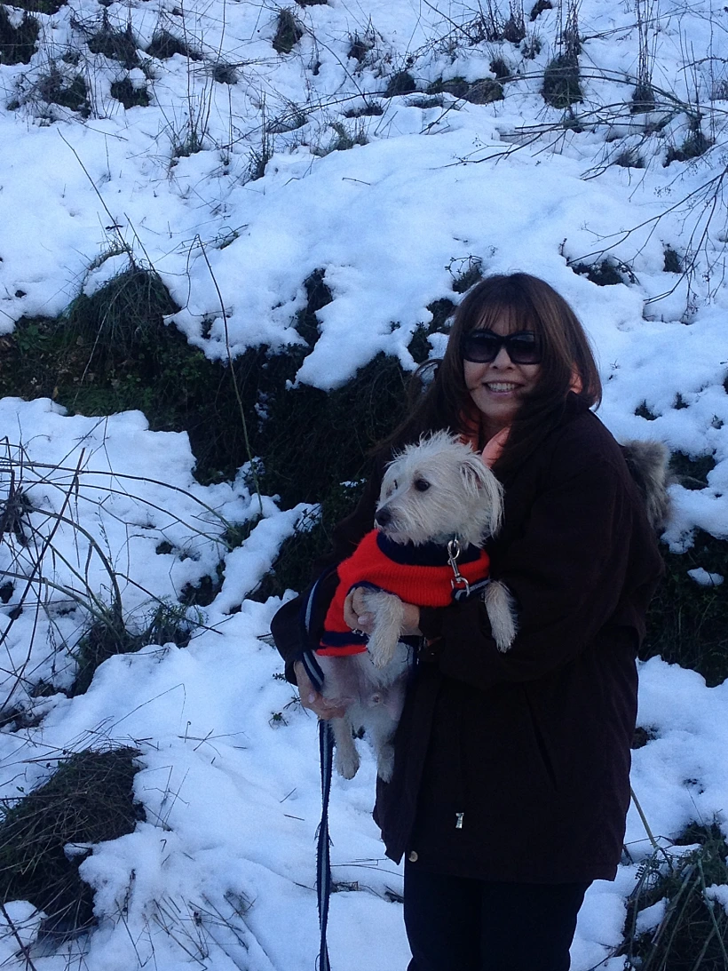 ירדנה ארזי ושמוליק