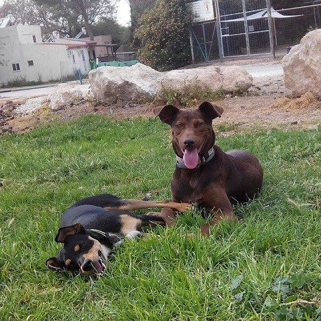 מקס. אני וזואי