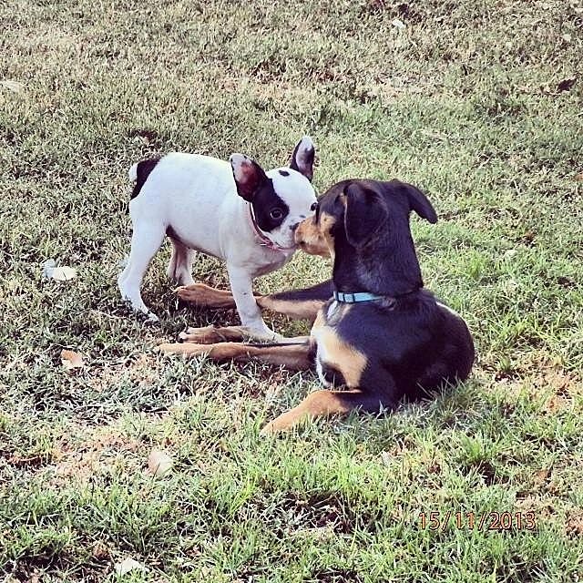 מקס. רוצה להיות חברה שלי?