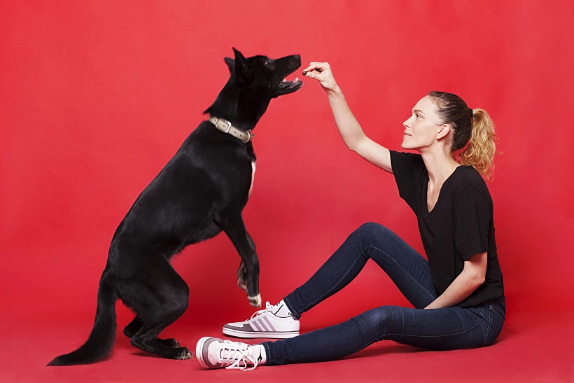 יאנה גור -טוב