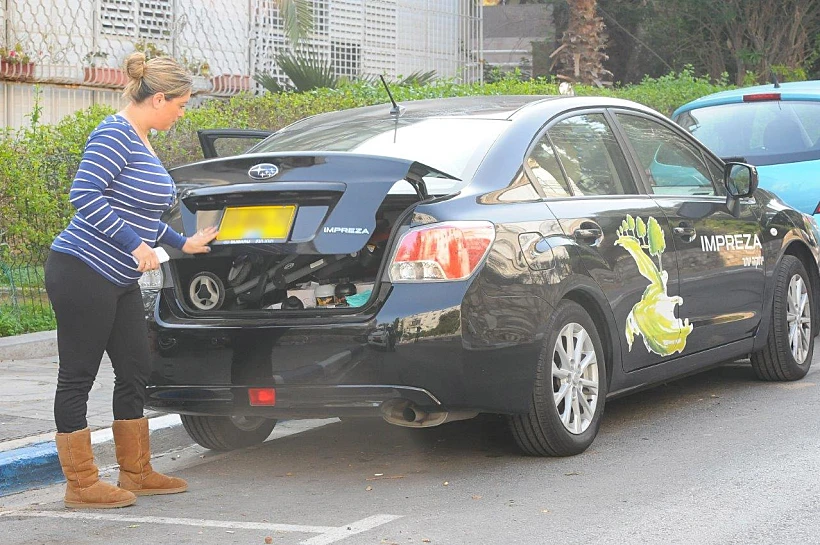 ליהיא גרינר