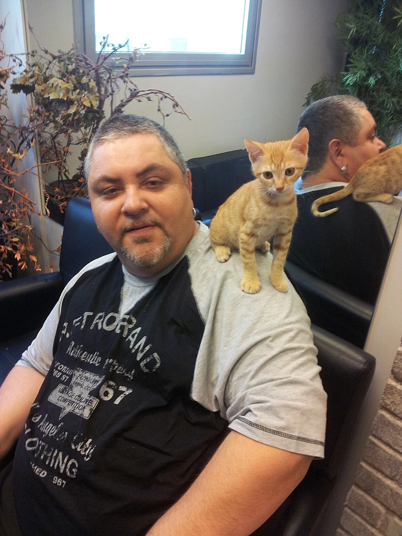 ארקדי דוכין