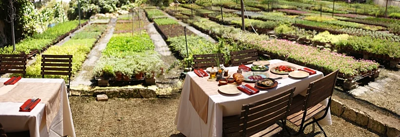 המטבח של רמה