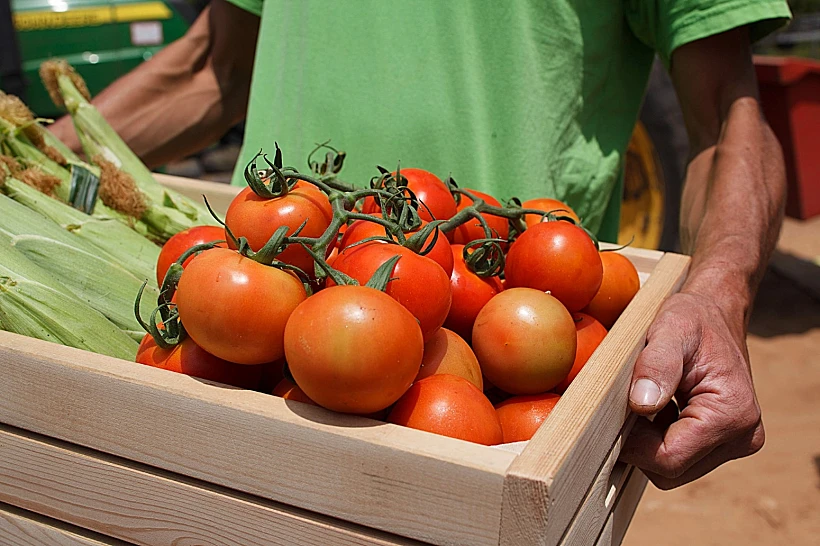 GREEN MARKET בשרונה מרקט