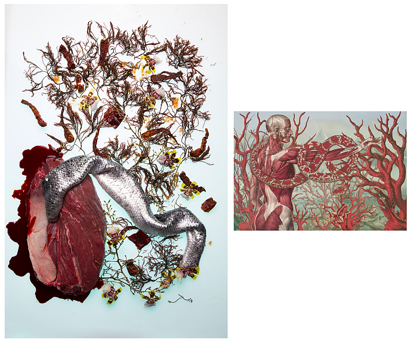 הצילום של יובל בן נריה, תערוכת colorfood wine