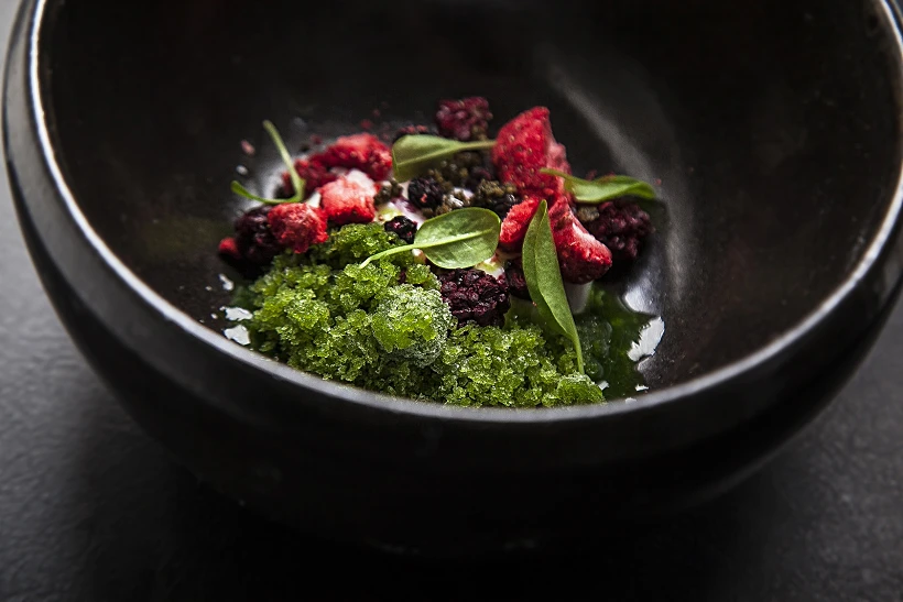 סילבסטר בכתית