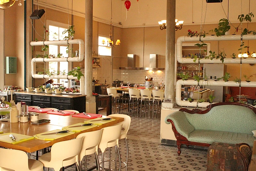 החוויה הטבעונית