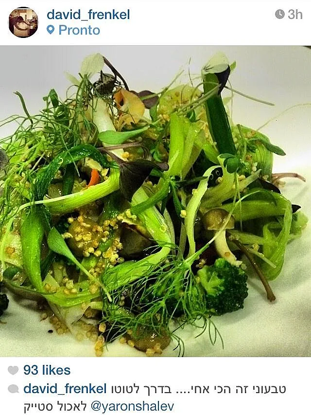 התמונה של פרנקל